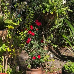 Meet your Posher, Wayne